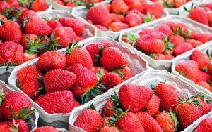 Φράουλες: Ένας ακαταμάχητος απολαυστικός πειρασμός - Φράουλες