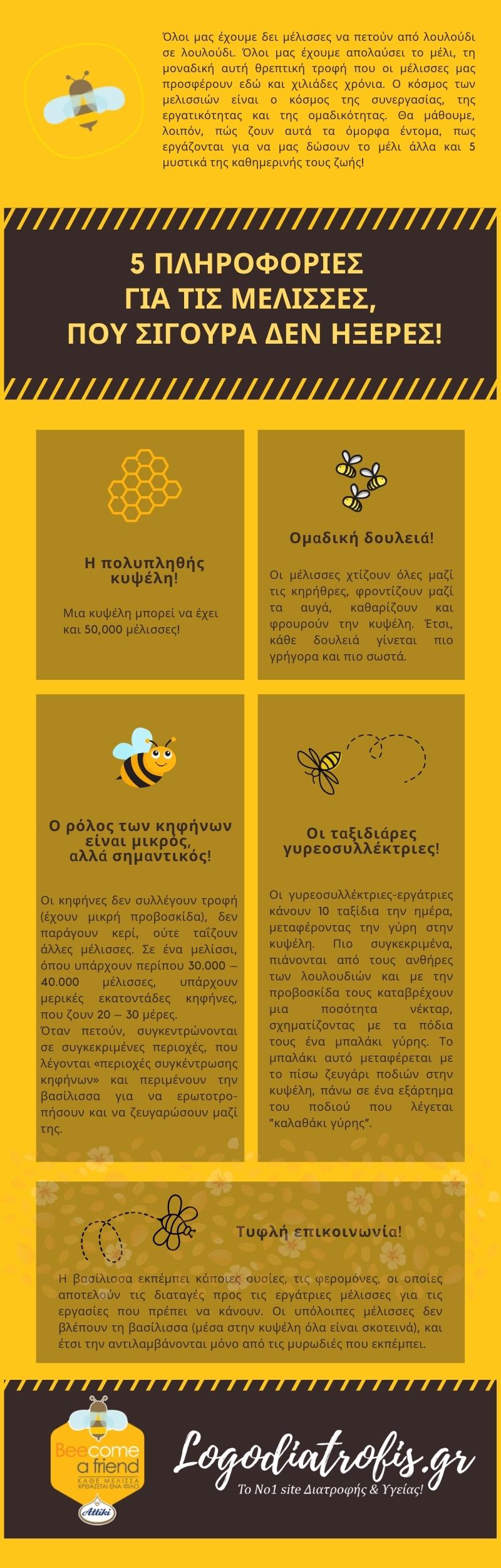 5 πληροφορίες για τις μέλισσες που σίγουρα δεν ήξερες! - μέλι