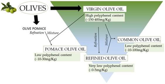 Πολυφαινόλες: Οι ευεργετικές τους ιδιότητες - Olea europea