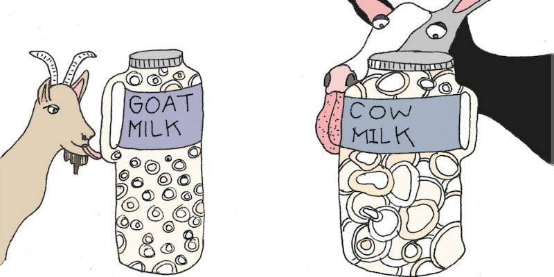 Κατσικίσιο VS αγελαδινό γάλα - αγελαδινό