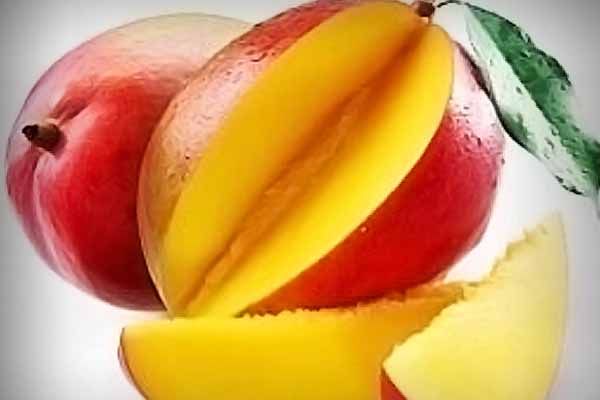 Mangos may lower blood sugar in obese adults - diet