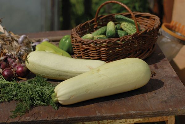 Σουφλέ ψητών λαχανικών με μανιτάρια και ξηρούς καρπούς - orac